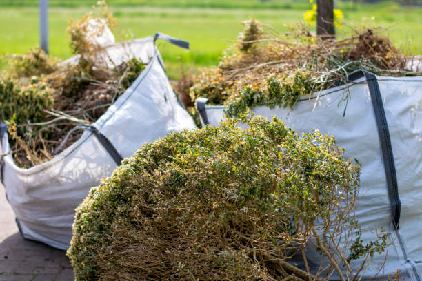 Best Yard Waste Removal  in Clear Lake, SD